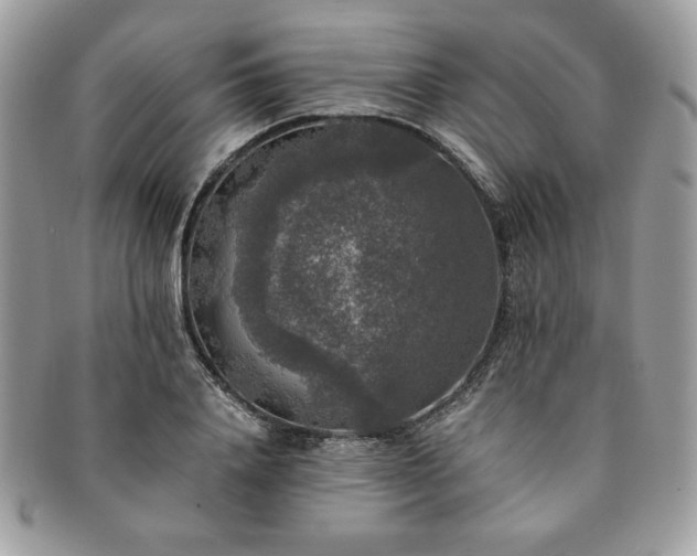 X0000091200840200708161612