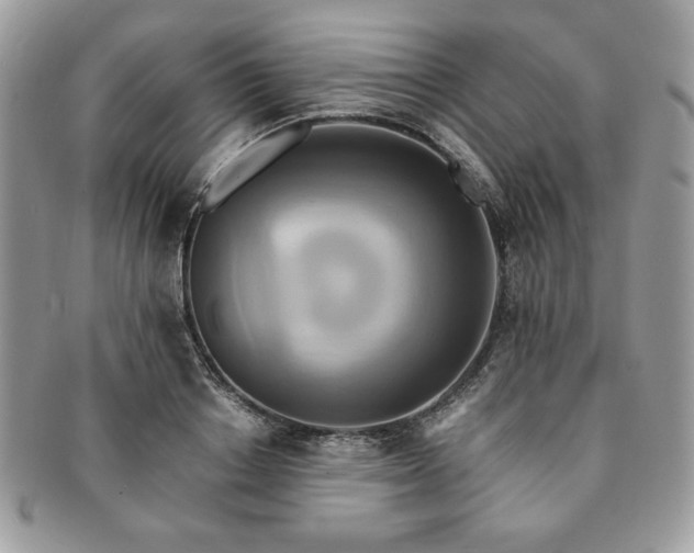 X0000091200842200708161612