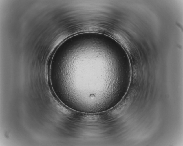 X0000091200843200708161612