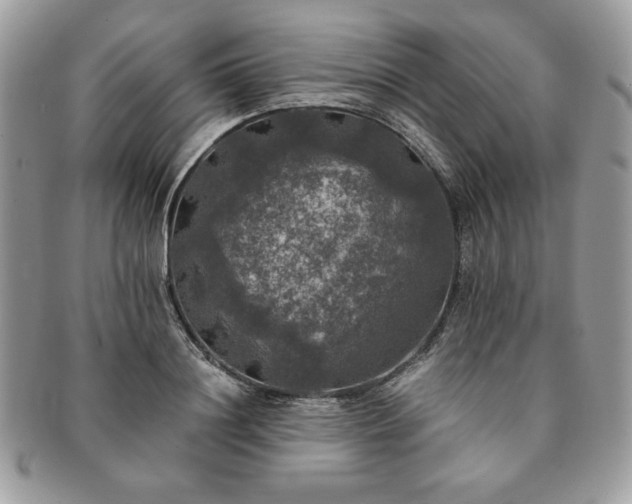 X0000091200844200708161612