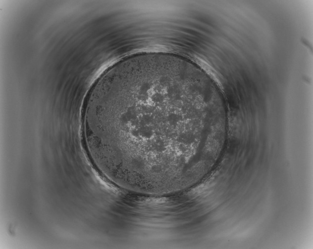 X0000091200845200708161612