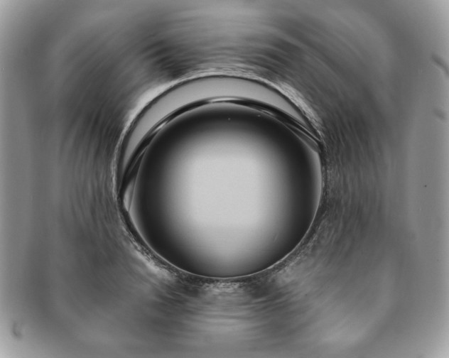 X0000091200846200708161612