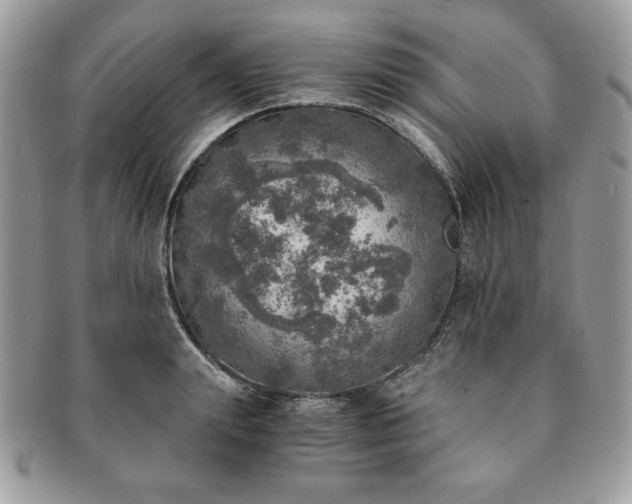 X0000091200847200708161612