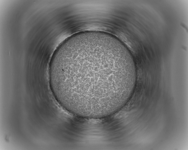 X0000091200848200708161612