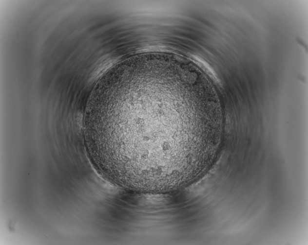 X0000091200849200708161612