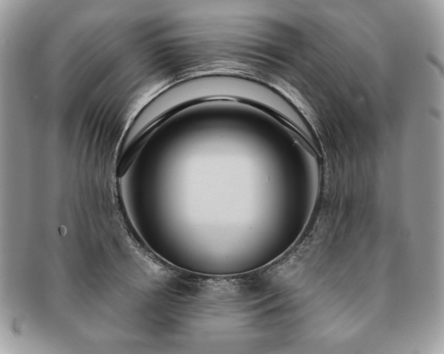 X0000091200850200708161612