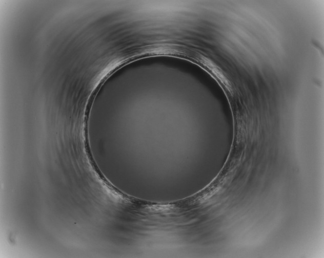 X0000091200853200708161612