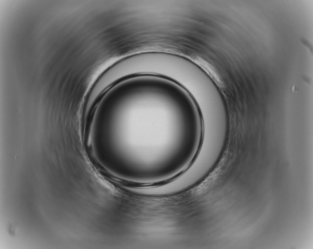 X0000091200854200708161612