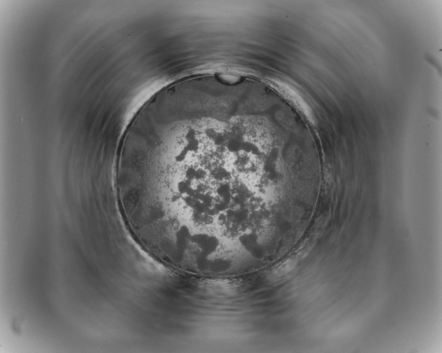 X0000091200855200708161612