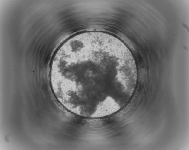 X0000091200856200708161612