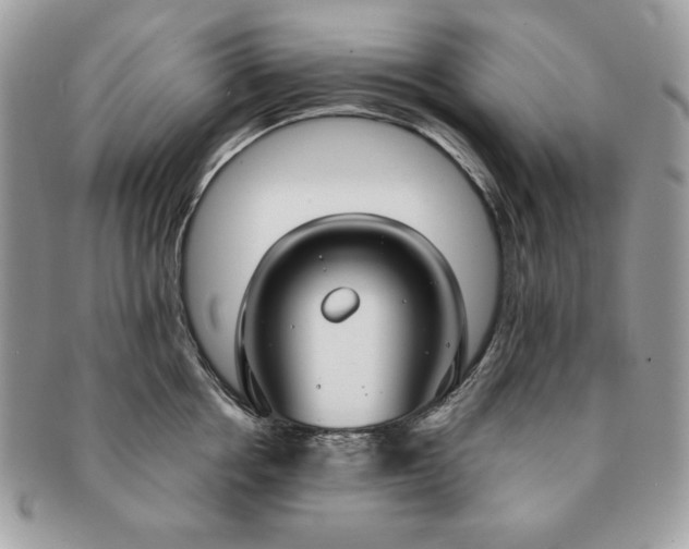 X0000091200858200708161613