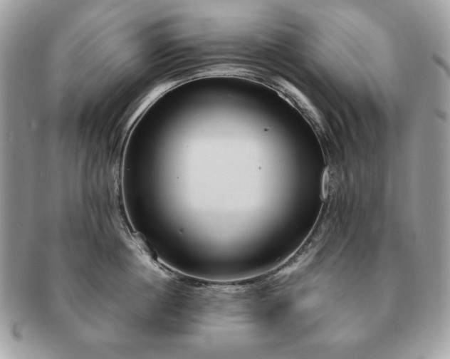 X0000091200860200708161613