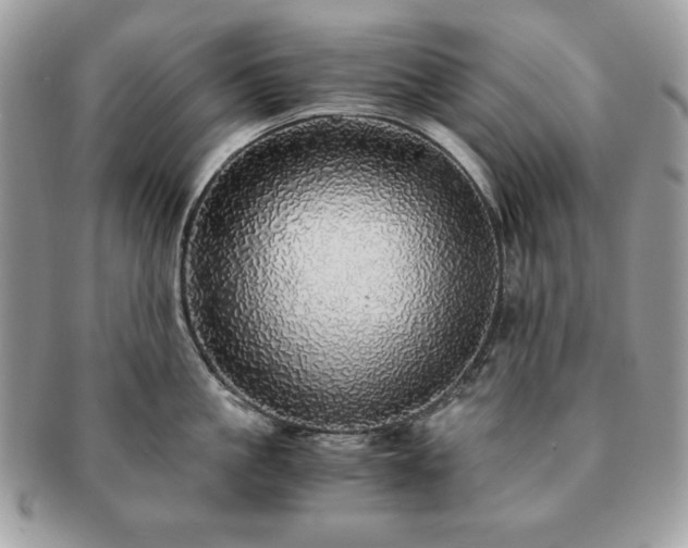 X0000091200861200708161613