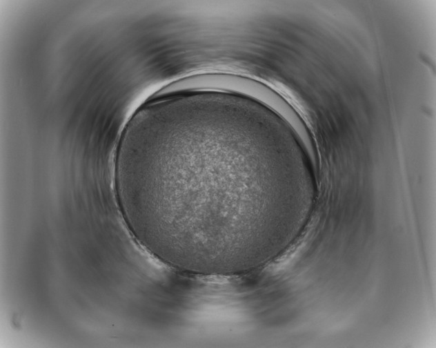 X0000091200862200708161613