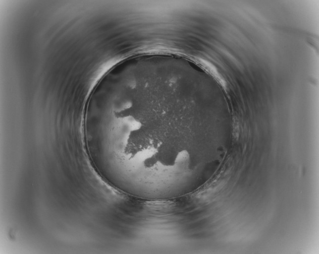 X0000091200863200708161613