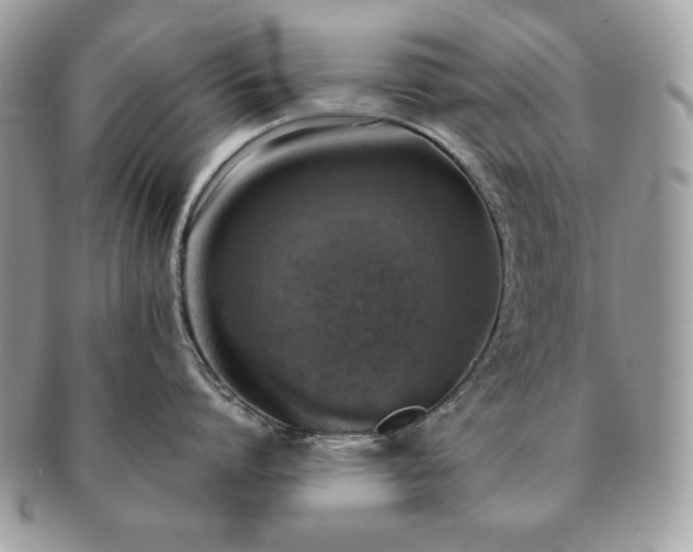 X0000091200864200708161613