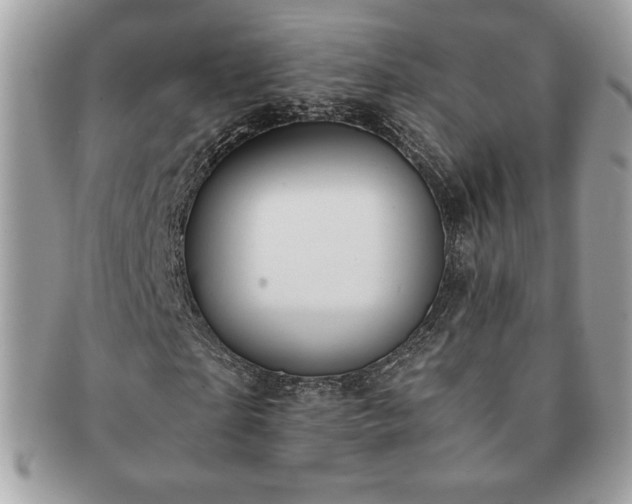 X0000091200865200708161612