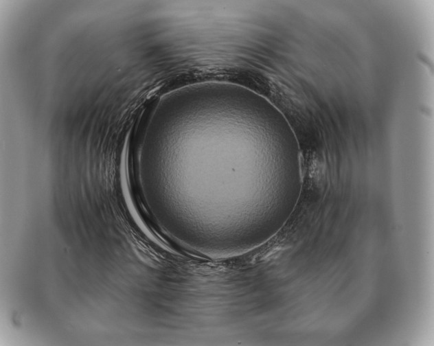 X0000091200868200708161612