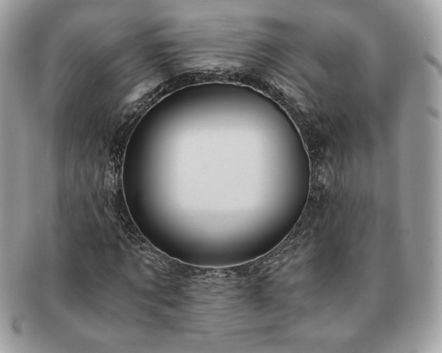 X0000091200869200708161612