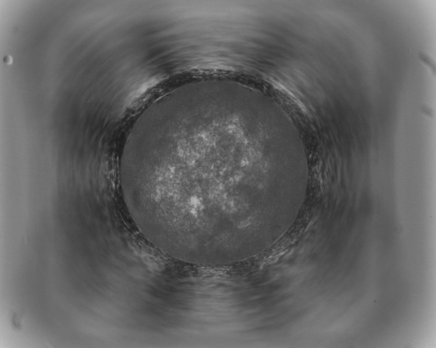 X0000091200870200708161612
