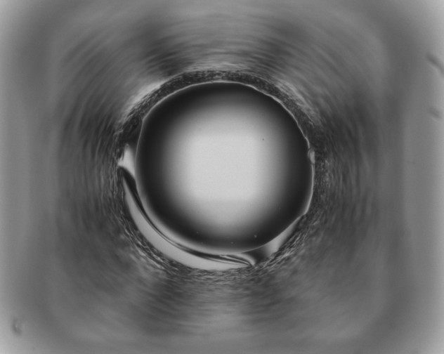 X0000091200872200708161612