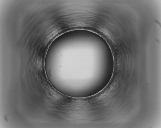 X0000091200873200708161612