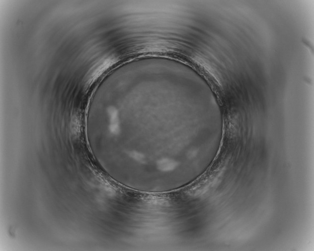 X0000091200874200708161612