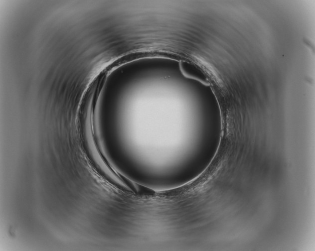 X0000091200876200708161612