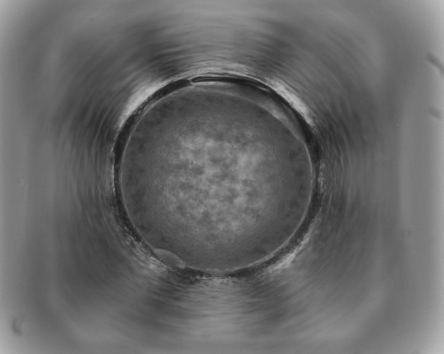 X0000091200877200708161612