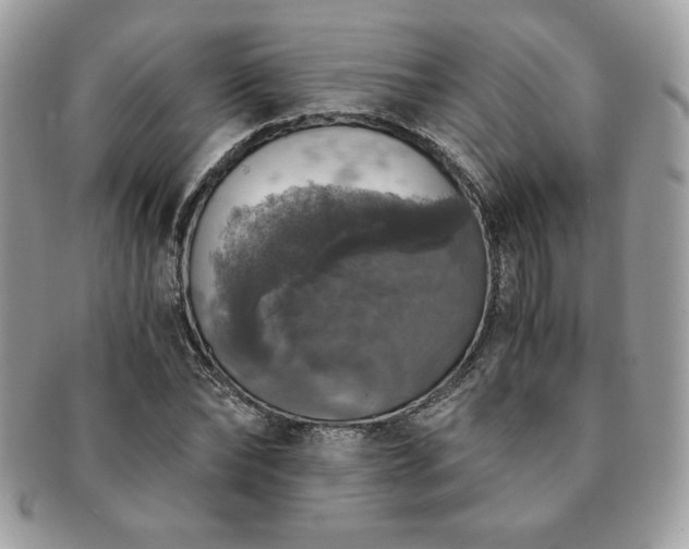 X0000091200878200708161612