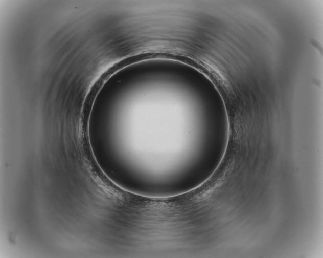 X0000091200880200708161612