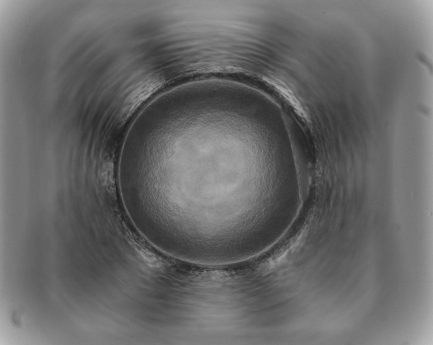 X0000091200881200708161612