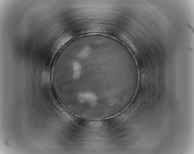 X0000091200882200708161612