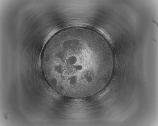 X0000091200883200708161612