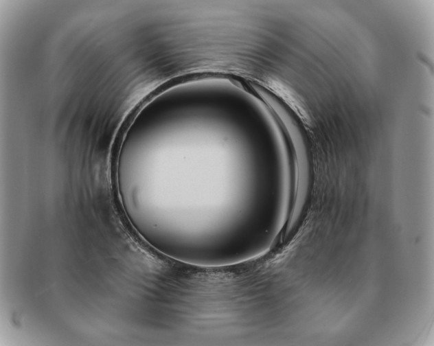 X0000091200884200708161612