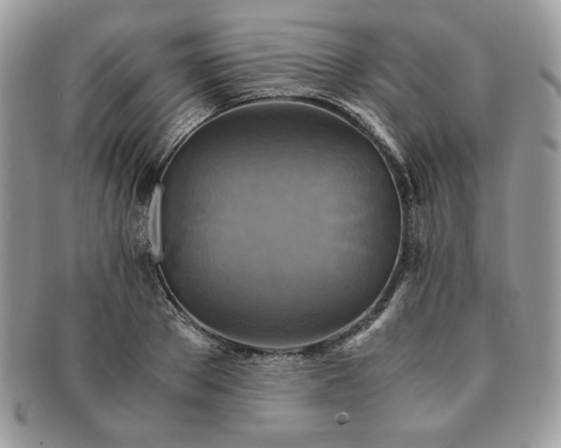 X0000091200889200708161612