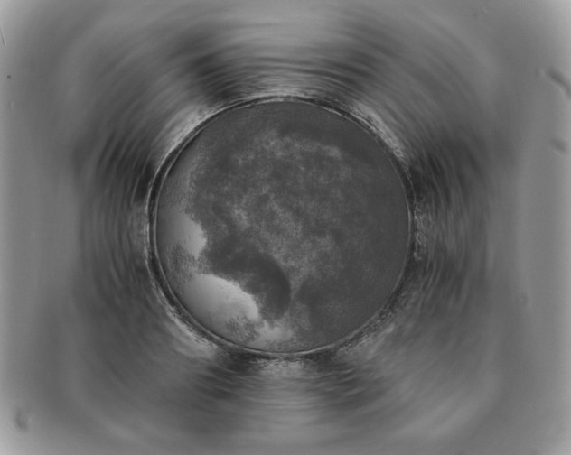 X0000091200890200708161612