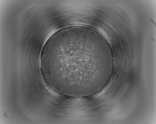 X0000091200891200708161612