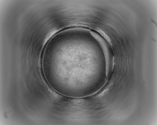 X0000091200893200708161612