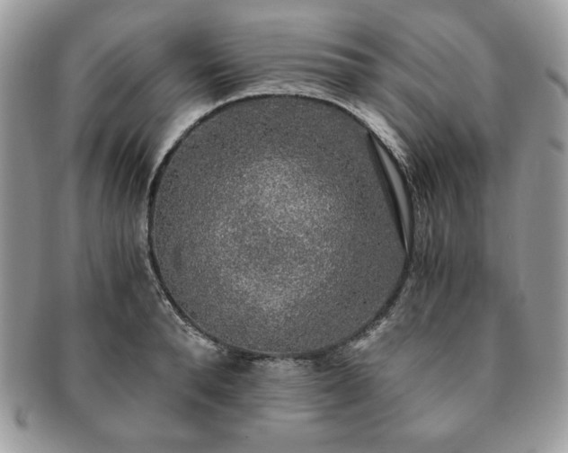 X0000091200896200708161612