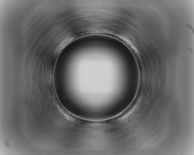 X0000091200897200708161612