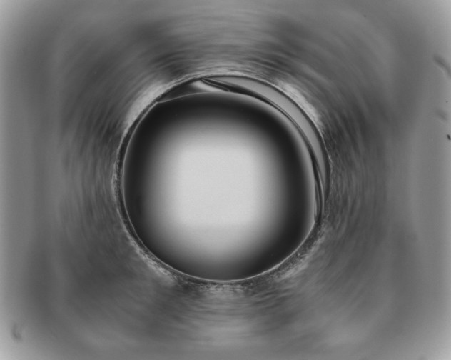 X0000091200901200708161611