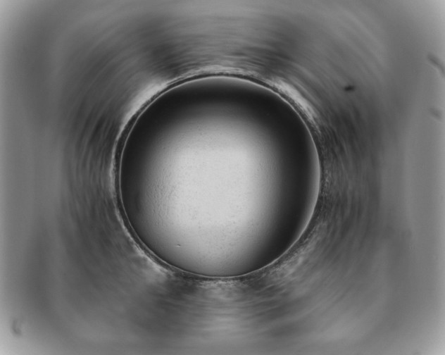 X0000091200902200708161611