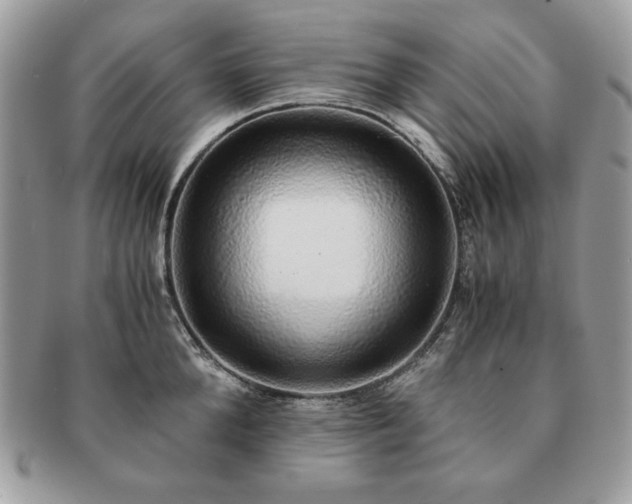 X0000091200904200708161611