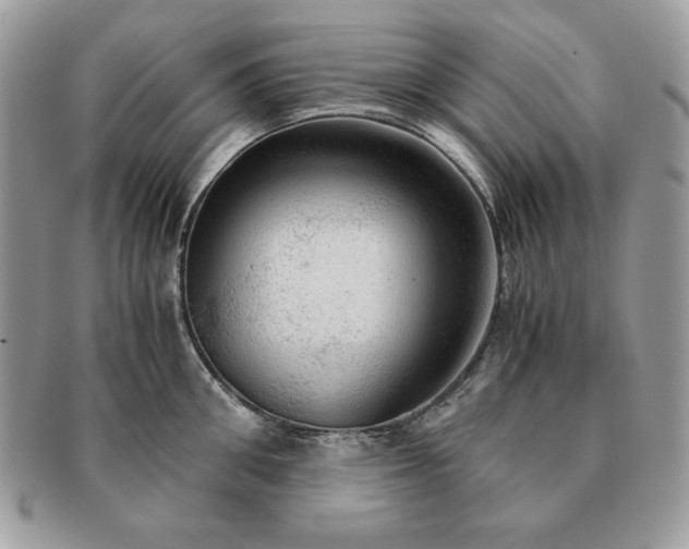 X0000091200906200708161611