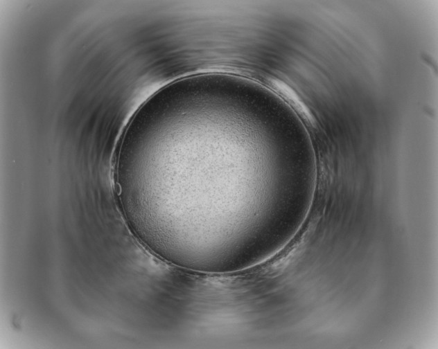 X0000091200908200708161611