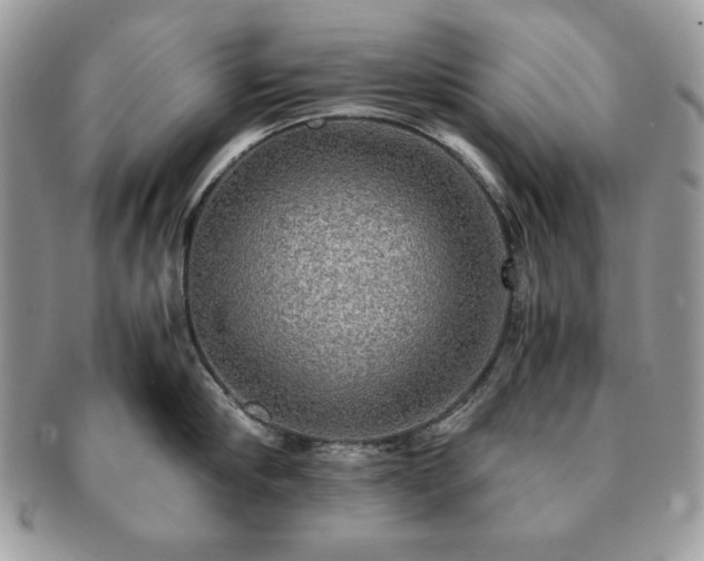 X0000091200910200708161611