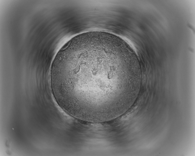 X0000091200911200708161611