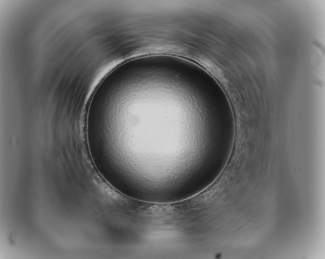 X0000091200912200708161611