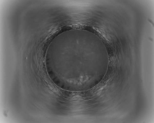 X0000091200913200708161611